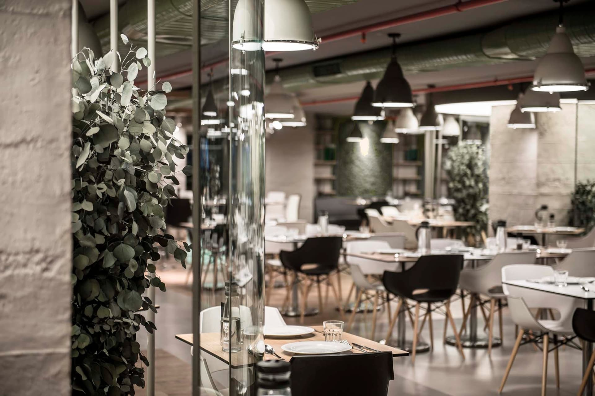 Doğuş Center Restaurant'ta lake gergi tavan ve LED aydınlatma