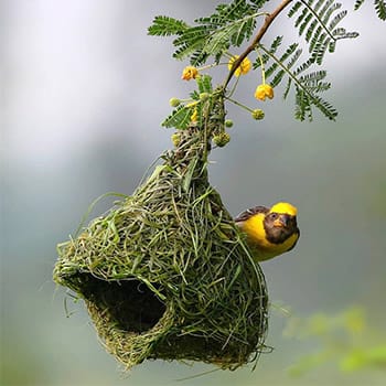 fark yaratan Gergi Tavan gergi tavan blog dokumacıkus
